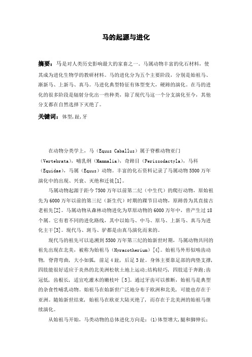 进化生物之马的进化