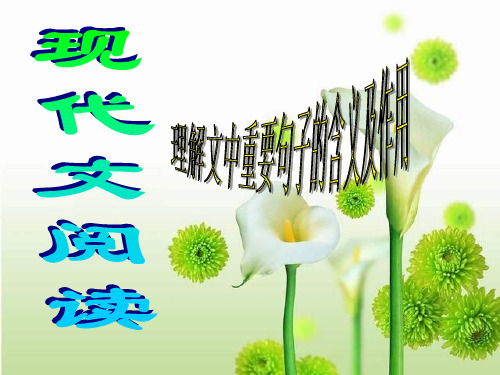 理解句子含义PPT教学课件