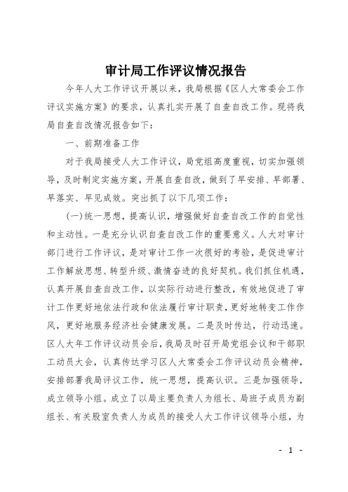 审计局工作评议情况报告