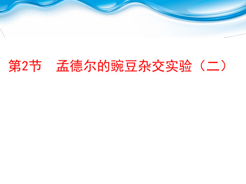 高中生物必修二人教版课件12孟德尔的豌豆杂交实验二