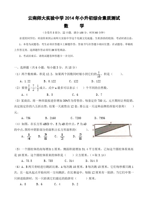 云南师大实验中学2014年小升初综合素质测试