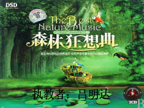 《森林狂想曲》课件