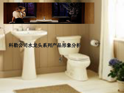 经典课件：科勒水龙头产品形象分析