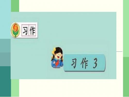 习作3苏教版小学语文三年级上册精品课件