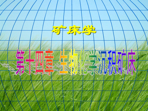 矿床学第十四章  生物沉积矿床PPT