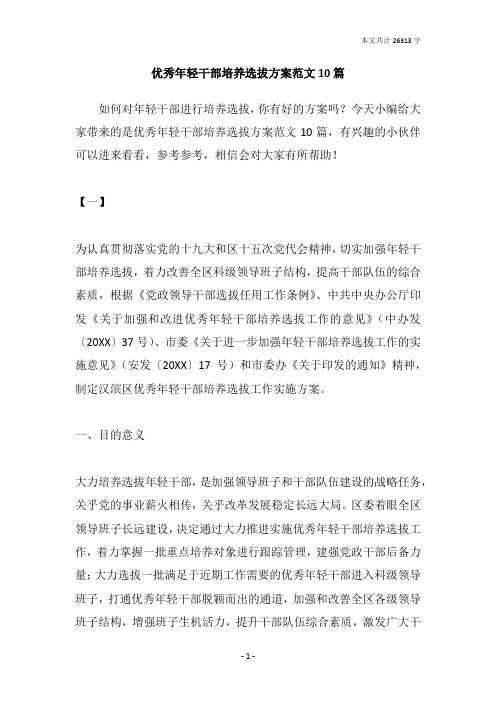 优秀年轻干部培养选拔方案范文10篇