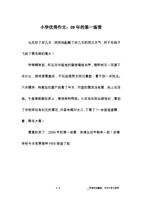 小学优秀作文：09年的第一场雪