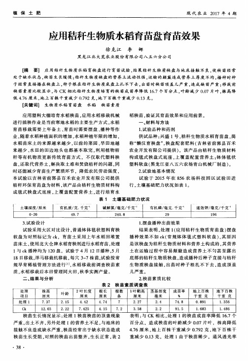 应用秸秆生物质水稻育苗盘育苗效果