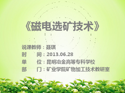 说课-磁电选矿-聂琪