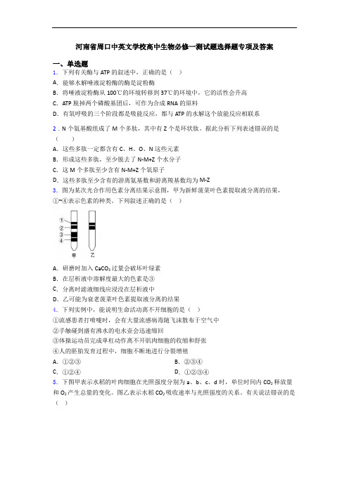 河南省周口中英文学校高中生物必修一测试题选择题专项及答案