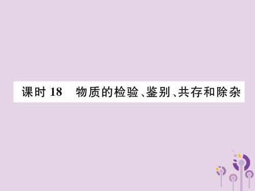 贵阳中考化学总复习科学探究课时18物质的检验、鉴别、共存和除杂(精讲)课件