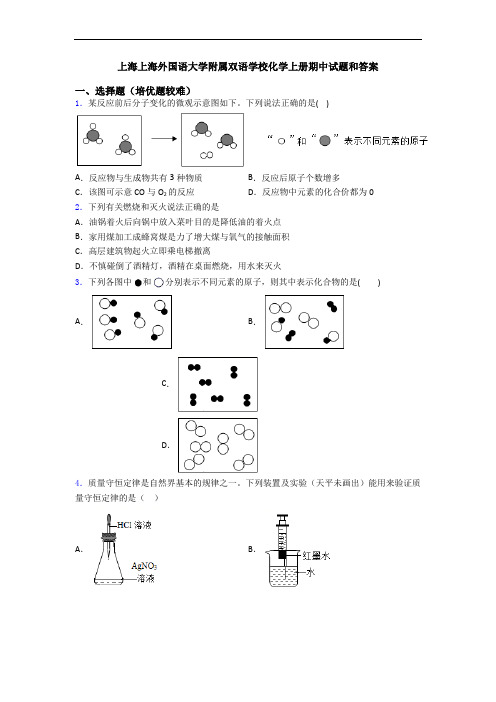上海上海外国语大学附属双语学校初三化学上册期中试题和答案