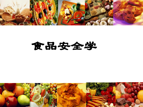 2011食品安全学-1