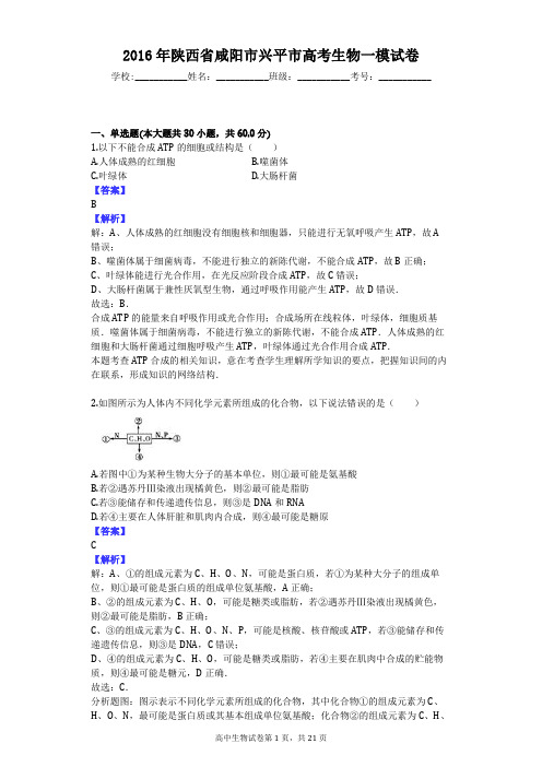 2016年陕西省咸阳市兴平市高考生物一模试卷
