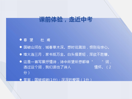 中考古诗词赏析专题一：炼字