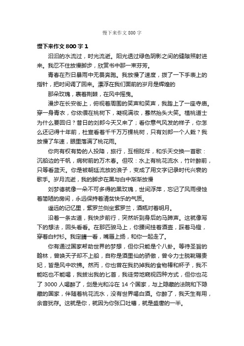 慢下来作文800字