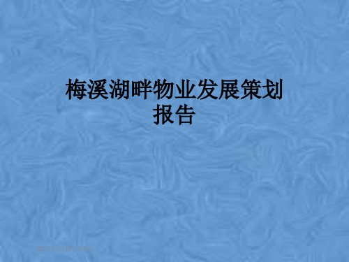 梅溪湖畔物业发展策划报告