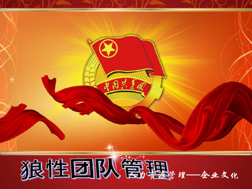 狼性团队管理(PPT30页)