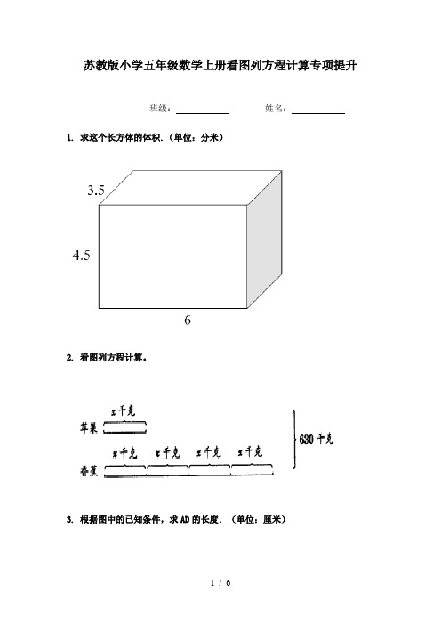 苏教版小学五年级数学上册看图列方程计算专项提升