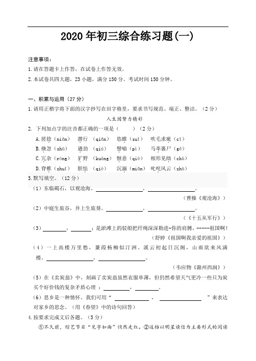 2020初三语文综合练习题(一)