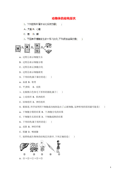 七年级生物上册 2_2_2 动物体的结构层次习题 (新版)新人教版