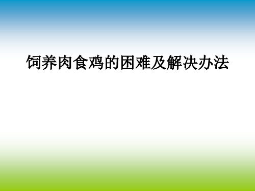 饲养肉食鸡困难及解决办法