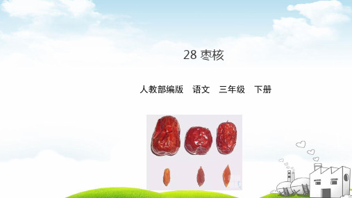 枣核课件讲解1