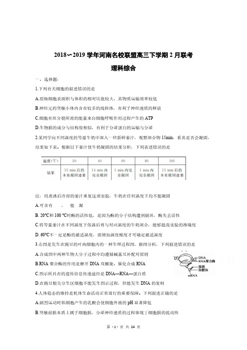 河南省名校联盟2018-2019学年高三下学期2月联考 理科综合(含解析)