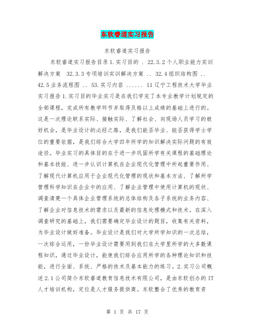 东软睿道实习报告