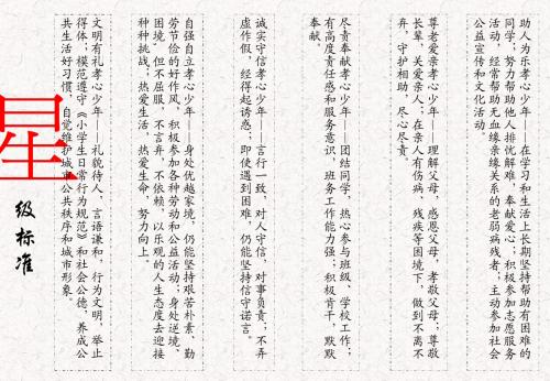 孝心少年星级标准