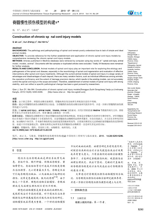 脊髓慢性损伤模型的构建