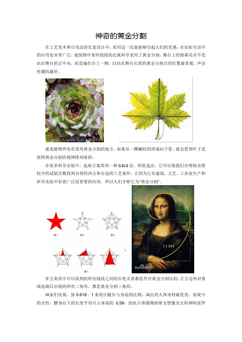 神奇的黄金分割