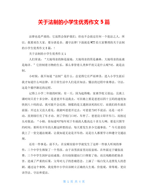 关于法制的小学生优秀作文5篇