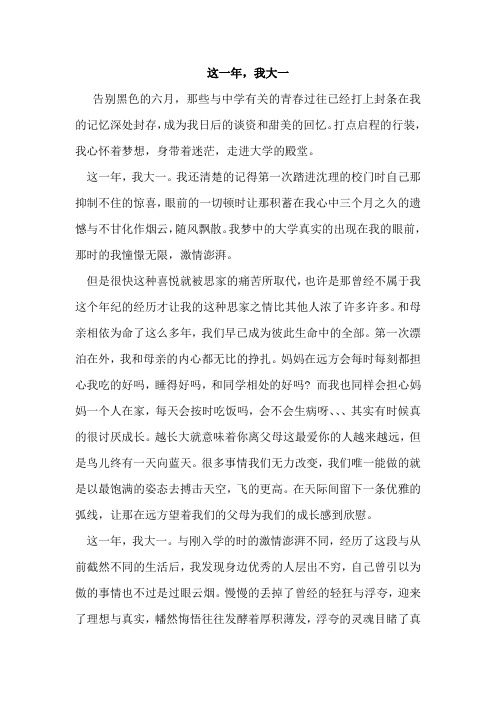 这一年我大一