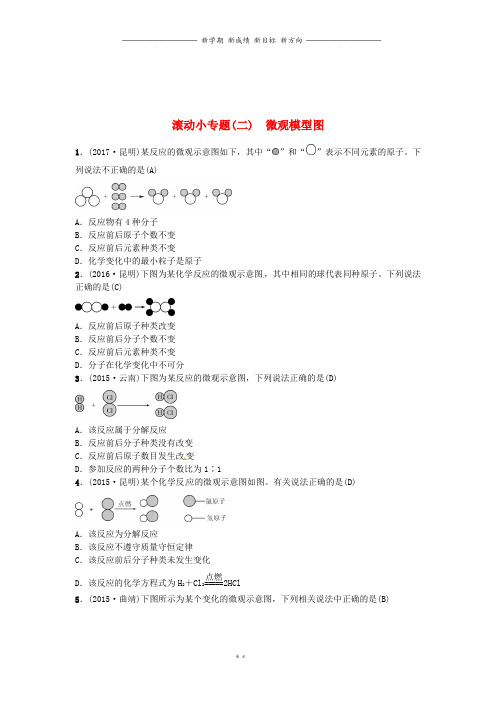 中考化学总复习滚动小专题二微观模型图习题64