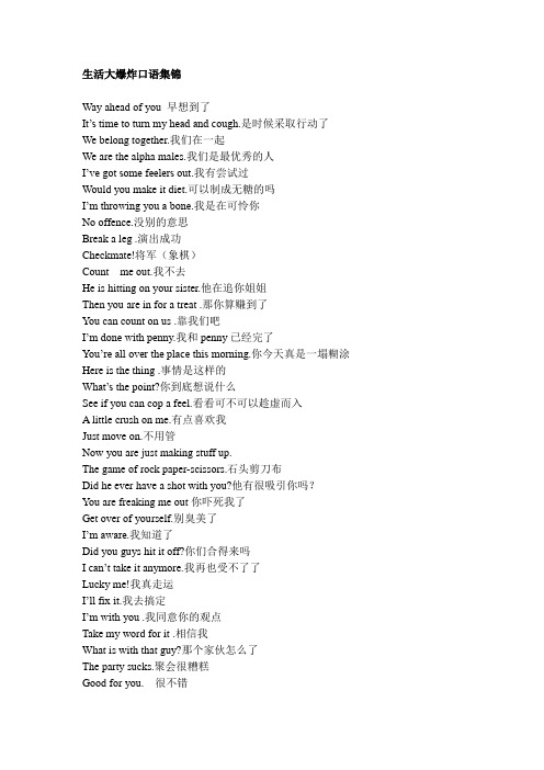 生活大爆炸口语集锦