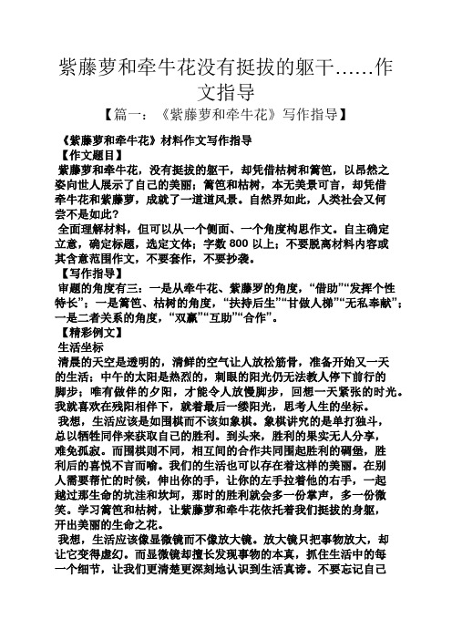 牵牛花作文之紫藤萝和牵牛花没有挺拔的躯干……作文指导
