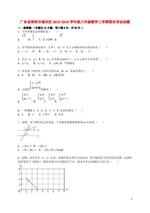 广东省深圳市福田区学八年级数学上学期期末考试试题(含解析) 新人教版