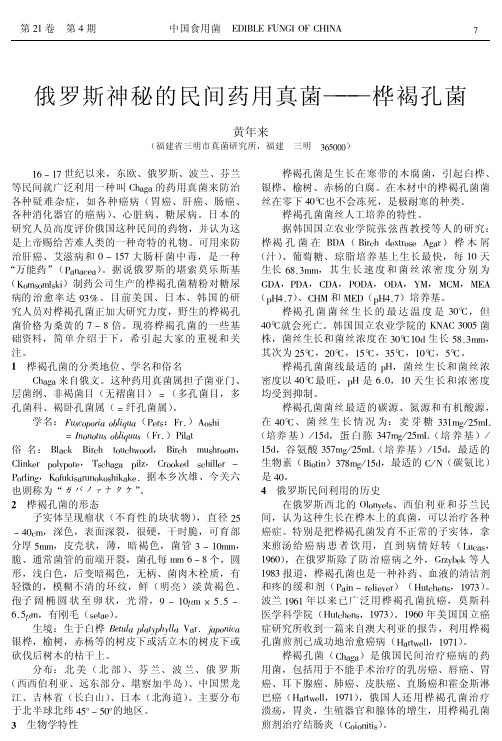 罗斯神秘的民间药用真菌——桦褐孔菌