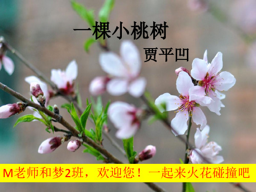 (部编)初中语文人教2011课标版七年级下册智慧课堂《一颗小桃树》