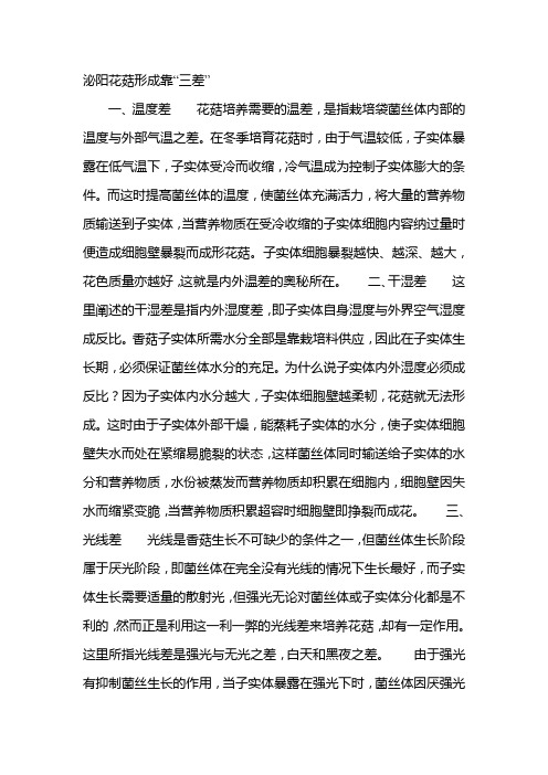 泌阳花菇形成靠“三差”