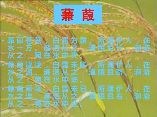 《诗经三首》-蒹葭完美版