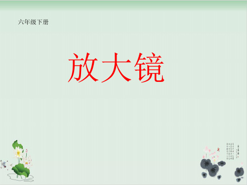 六年级下册科学课件PPT：《放大镜》 教科版