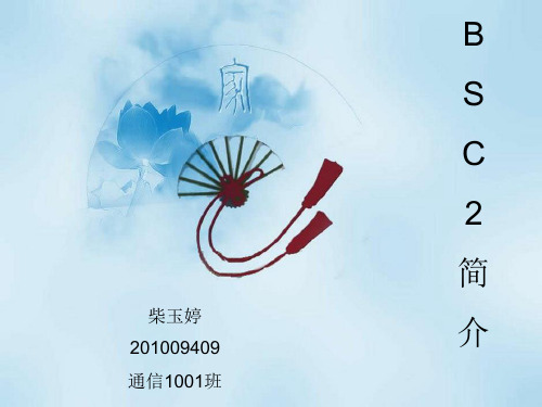 BSC介绍