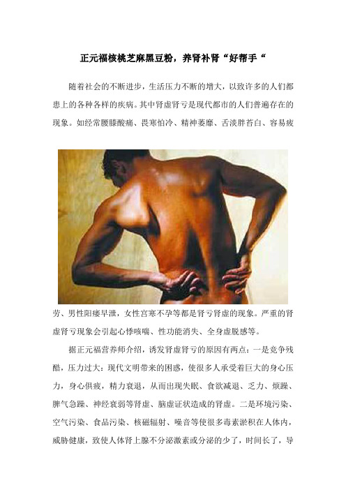 正元福核桃芝麻黑豆粉养肾补肾好帮手