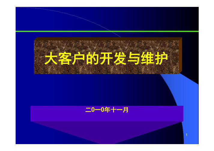 大客户的开发与维护