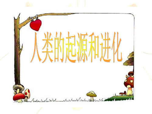 人类的起源与进化ppt