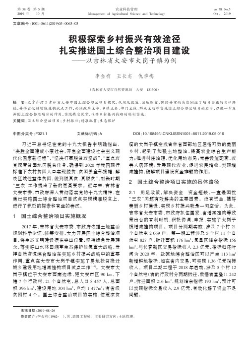 积极探索乡村振兴有效途径扎实推进国土综合整治项目建设--以吉林