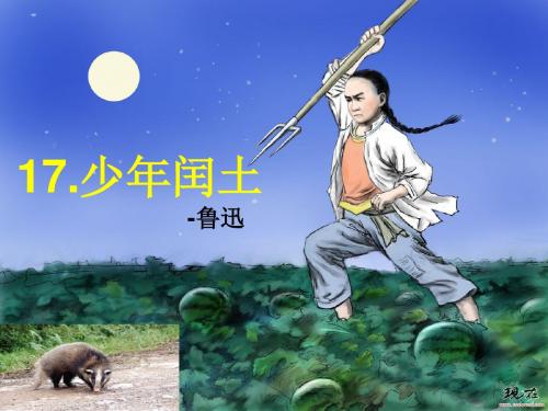 17少年闰土公开课课件