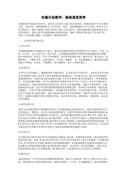 实施分层教学,提高课堂效率